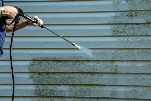 Best Local Pressure Washing Services  in Bloomington, TX